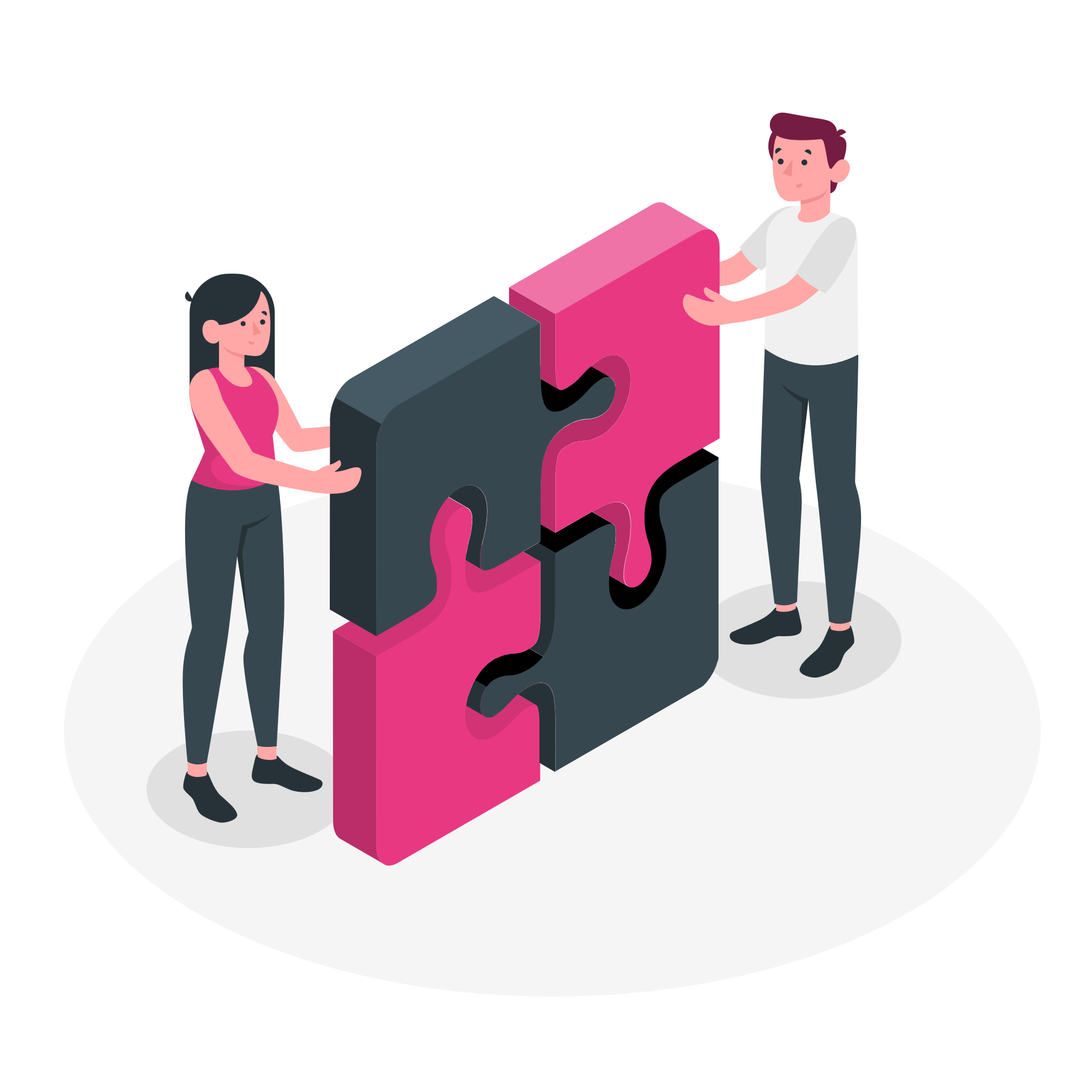 About Our Consulting Firm